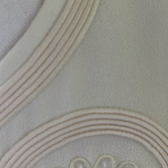 ADRIENNA PAPELL Elegant Suit Ivory Absolutely Beautiful Size 8 - Picture 8 of 16